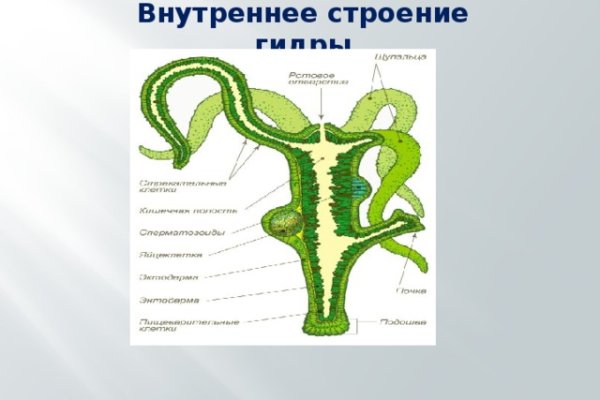 Что такое кракен в даркнете