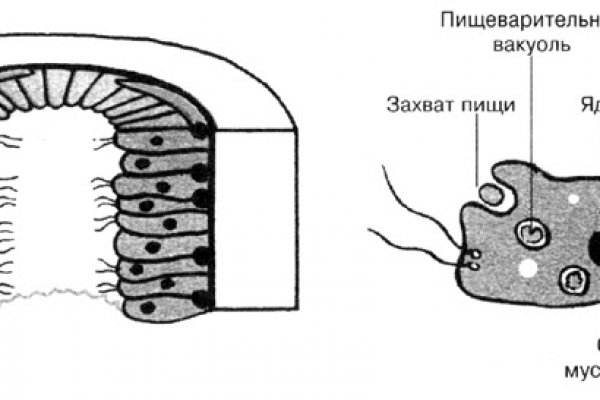 Кракен маркетплейс что это