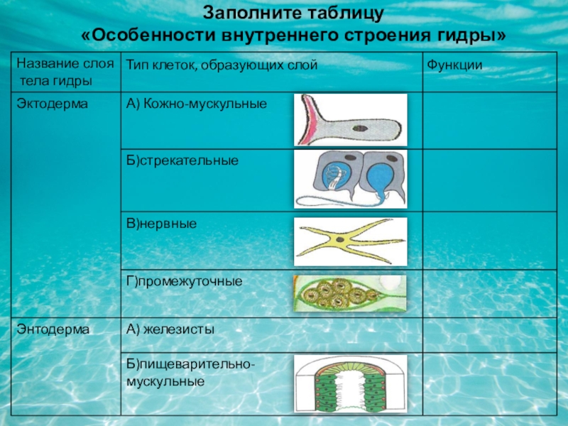 Ссылка на кракен в тор на сегодня